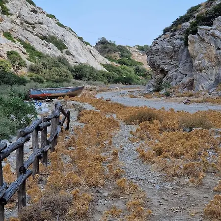 Edelweiss * Tsoútsouros